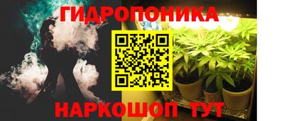 бошки Ливны